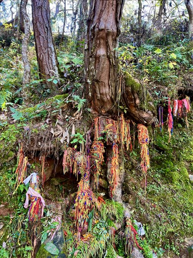 Indigenous tree worship - prayer requests, Dakshinkali