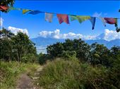 view from Champa Devi: by krodin, Views[614]