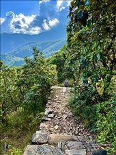 steep stairs on Champa Devi hike: by krodin, Views[278]