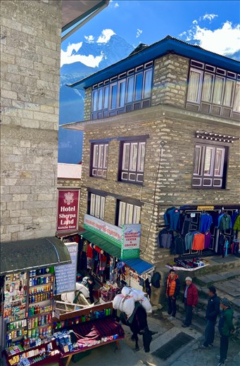 Yaks by Walmart Shopping Center, Namche Bazar
