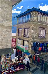 Yaks by Walmart Shopping Center, Namche Bazar: by krodin, Views[223]