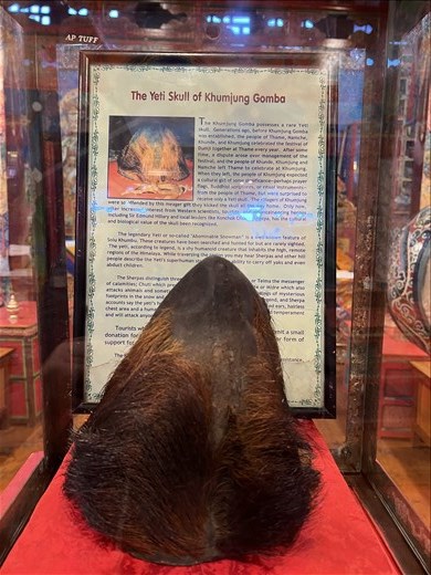 Yeti Skull and description