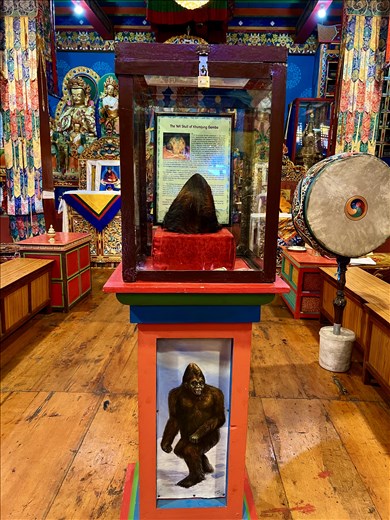Yeti Skull (Antelope!) Khumjung Monastery
