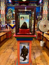Yeti Skull (Antelope!) Khumjung Monastery: by krodin, Views[227]