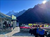early morning at Ama Dablam Ladge: by krodin, Views[141]