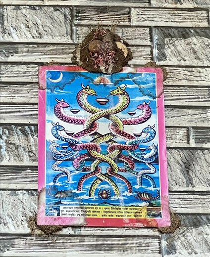 Naga poster for protection against evil and drought