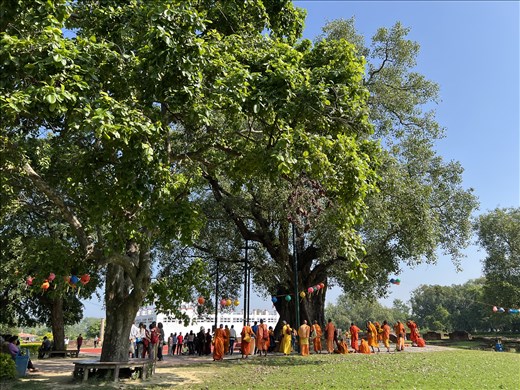 monks by Bodhi Tree, Maya Devi Temple