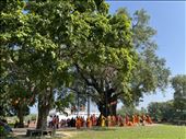 monks by Bodhi Tree, Maya Devi Temple: by krodin, Views[172]