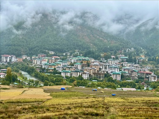 growing Thimphu - notice the houses and roofs