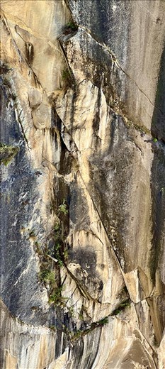 Yeshe Tsogyal profile on cliff face, Tiger's Nest
