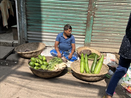 Vegetable vendor next to trash, Shankari Bazar