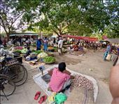 farmer's market - street scene: by krodin, Views[403]