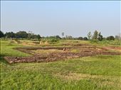 excavations at Mahasthan Garh: by krodin, Views[94]