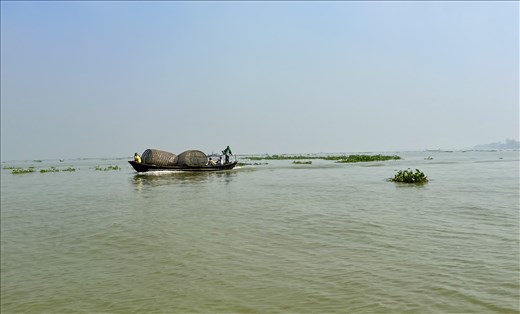 the vegetation is taking over the river