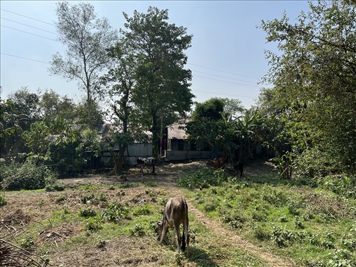 walking to the island village