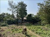walking to the island village: by krodin, Views[99]