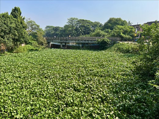 clogged and diverted river from 300 year old Panam Bridge