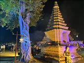 Chedi and Sacred tree near Mahathat, Historical Park: by krodin, Views[186]