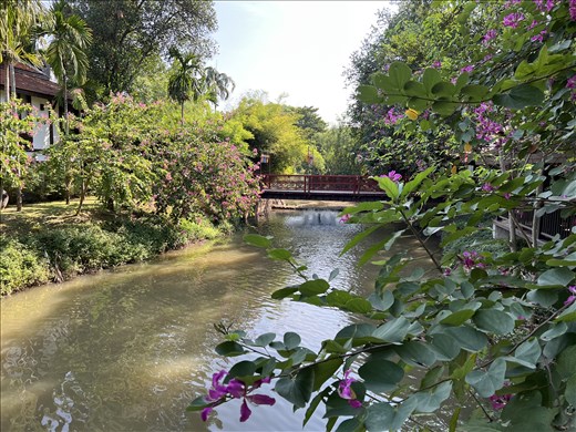 river in the hotel complex