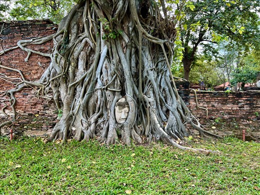 Ayutthaya