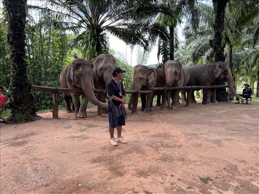 Elephant guide at Elephant Sanctuary