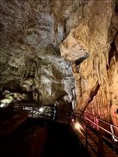 Diamond Cave bats: by krodin, Views[390]