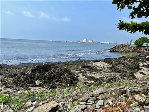 Waterfront in Fort Kochi - notice the dredging (it stinks!)