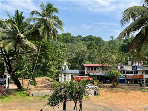 view from St. Mary's church