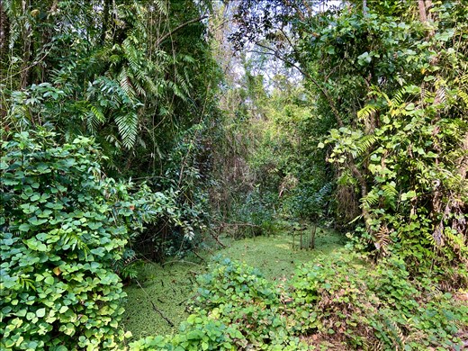 Bird Sanctuary, Kumarakom