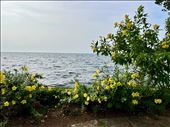 Lake Vembanad, Kumarakom: by krodin, Views[97]