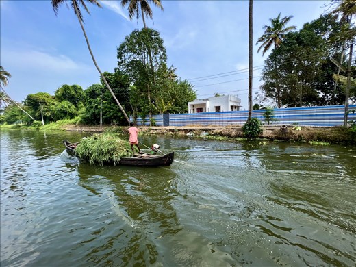 old ways and modern houses, Alleppey
