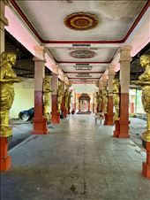 Sree Udiyanoor Devi Temple: by krodin, Views[155]