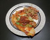 Bird's eye view of enchiladas on a plate.: by ksalka, Views[459]