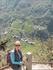 The spectacular farmland the Nepalese people have carved out of the mountains.: by kuntzie, Views[319]