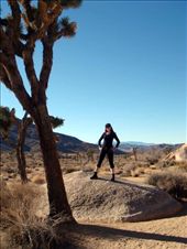 Joshua Tree National Park: by kurenai, Views[1833]