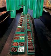 © Patrick Roger: by kurenai, Views[1487]