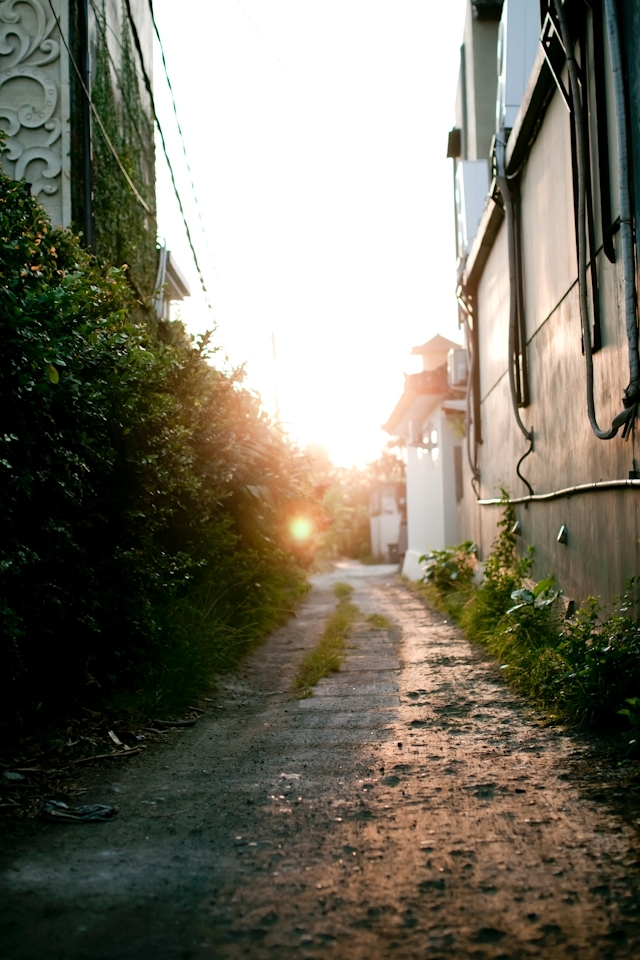 I love alleyways. Rough roads, ram-shackled buildings, dirt and grime. I love it all. I had walked past this particular lane a couple of times before but it was at this moment it had the golden glow from the afternoon sun.