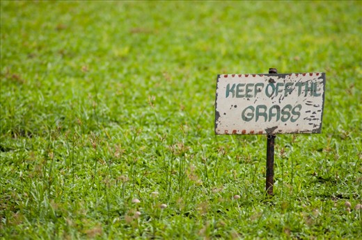 A way to preserve nature: The 'keep off the grass' sign displays a clear instruction to preserve the pure and clean lawn. 