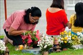 November 1-2, 2012, a time when Filipinos pay respect to their late relatives in the cemetery. : by kurt_barcelona, Views[938]