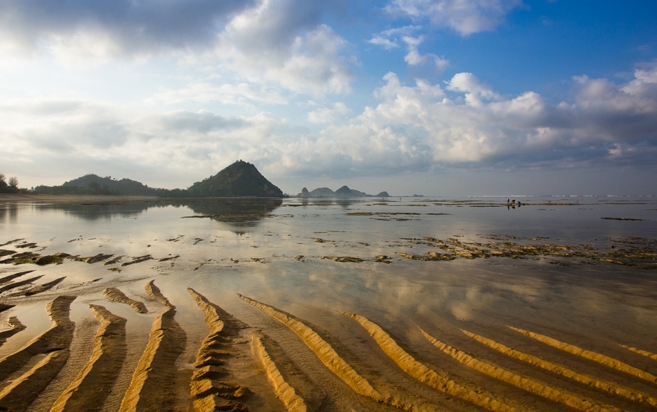 Bright, yellow, wavy and mellow… the hill absorbs the sun rays like a magnet. 