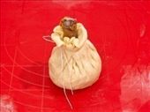 tied with thread : by kutaika, Views[237]