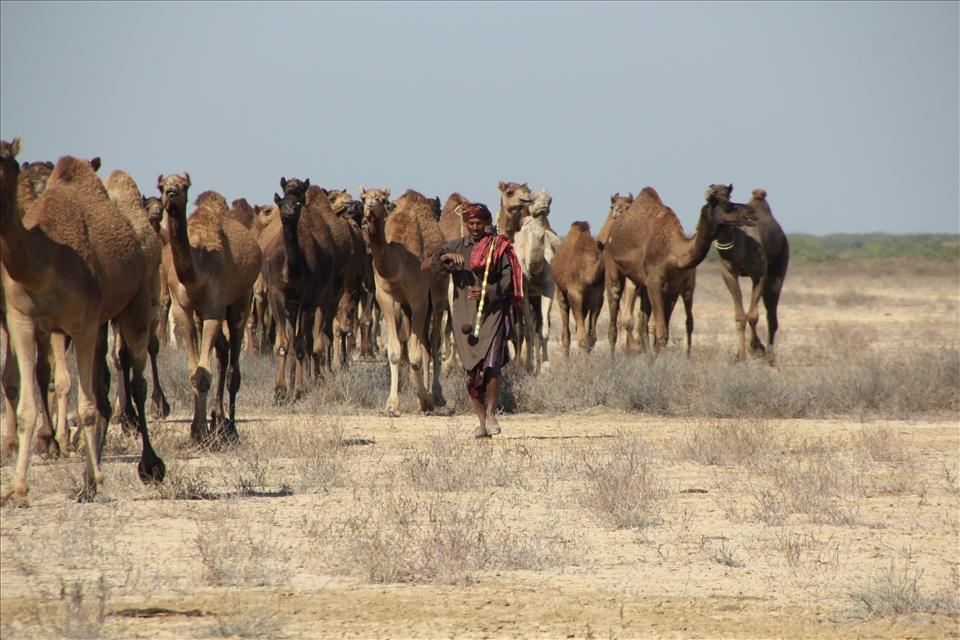 Traditional nomads make sure their clothes are of the best brightest fabric.