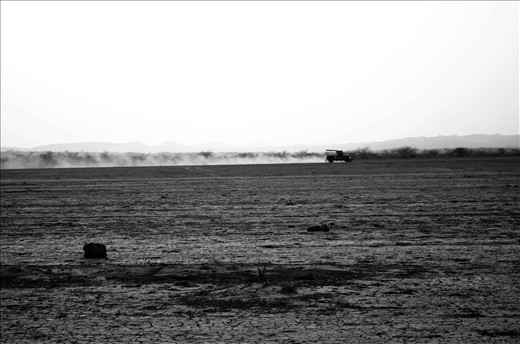 The kutch desert wildlife sactury.