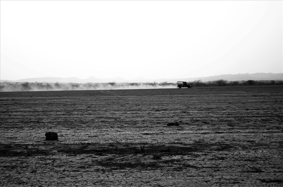 The kutch desert wildlife sactury.
