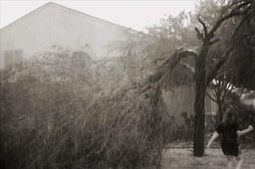 A microburst ripped trees and roofs apart.
