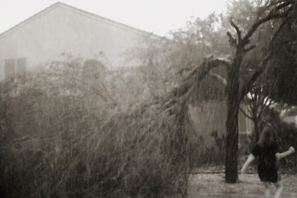 A microburst ripped trees and roofs apart.