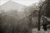 A microburst ripped trees and roofs apart.: by kvance, Views[310]