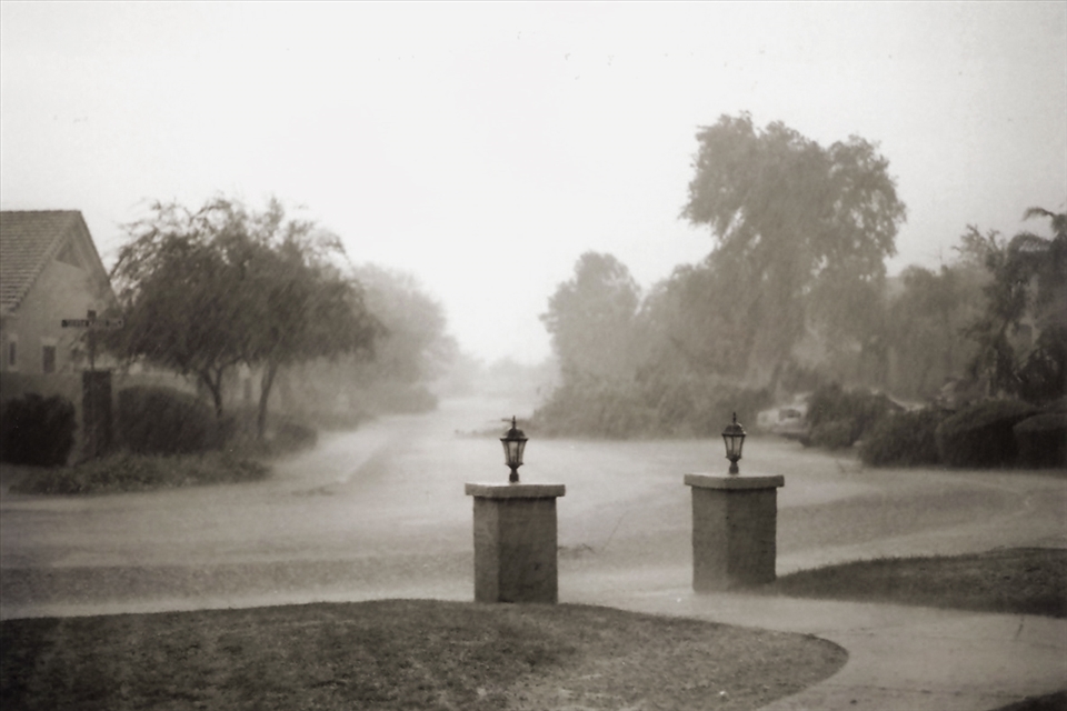 Fallen trees block the road.