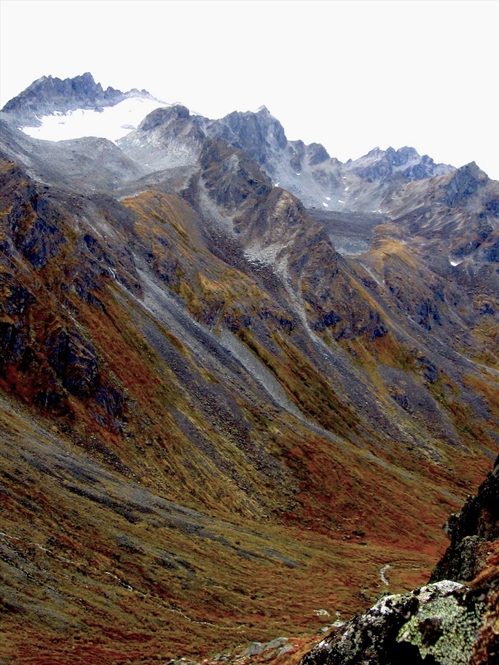 Elevation gain: We leave the river after about 8 miles of hiking through the changing colors of the valley to ascent the rocky slope that we hope will lead to shelter for the cold fall night; the Mint Hut. 