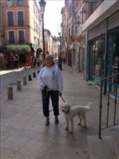 by kwilson, Views[155]